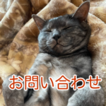 眠っている猫の画像です。
クリックするとメールフォームのページにジャンプします。